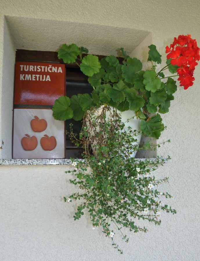 Zidanica Krstinc Villa Straza Екстериор снимка